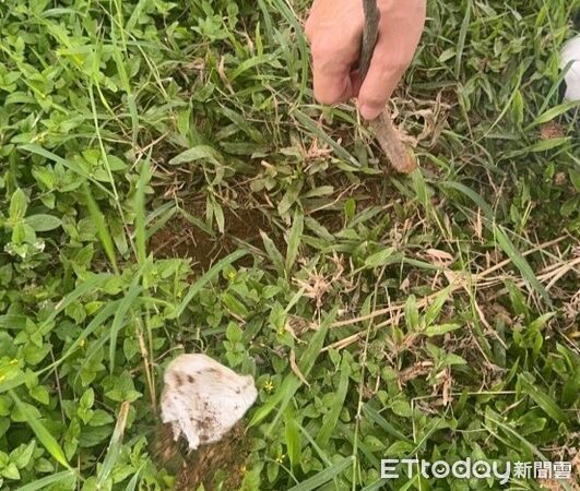 ▲▼毒蜂蜜,毒郵票。（圖／刑事局中打提供）