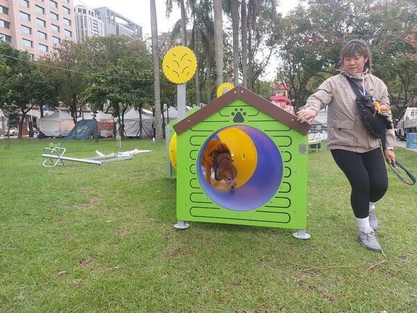 ▲新北毛寶貝耶誕趴市集　板橋站前「10項寵物遊具」搶先登場。（圖／新北市政府動物保護防疫處提供。）