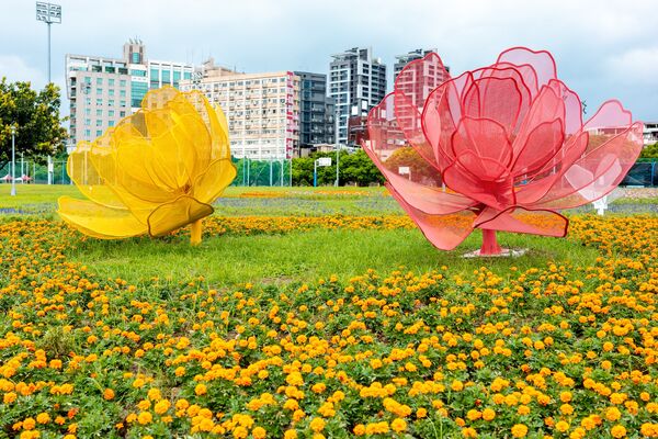 ▲台北市「中正河濱公園」花海盛放中。（圖／翻攝自Facebook／戀戀水綠 臺北水利）