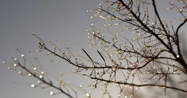 （示意圖／Pexels）