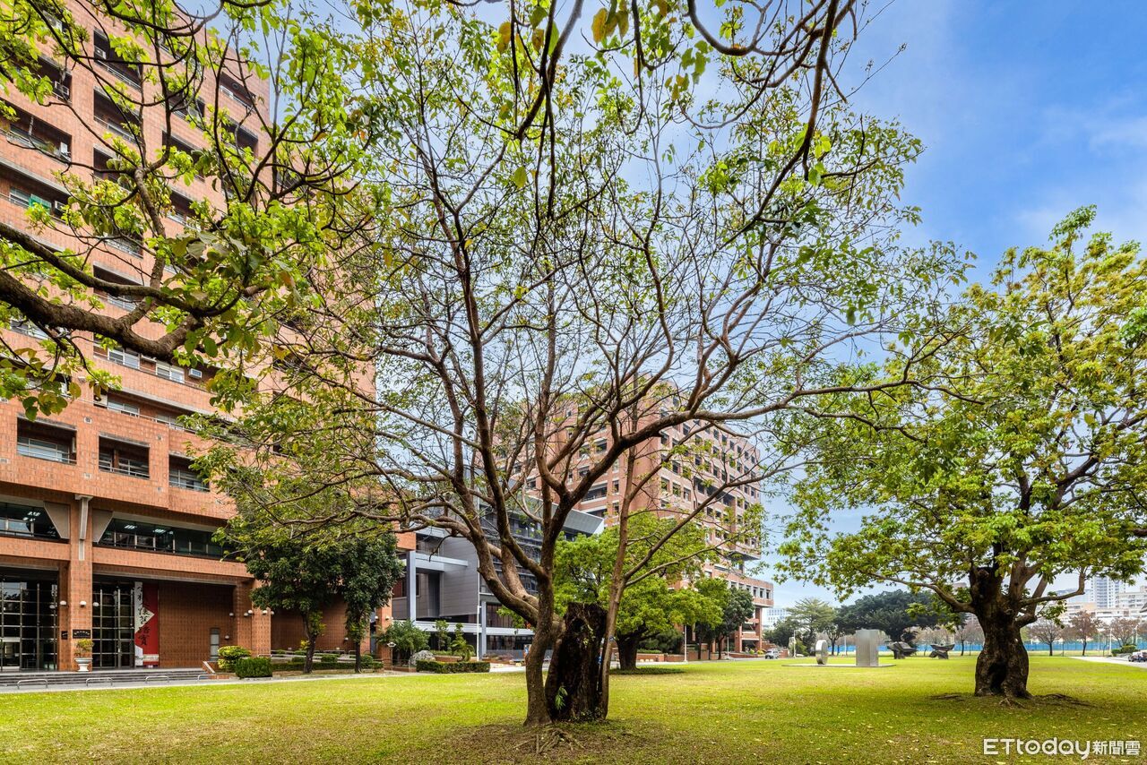 成大勇奪THE跨領域科學排名全球第35、全台第1　AI攻頂展成果