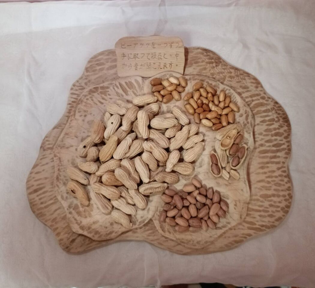 這盤「花生」太逼真！高雄雕刻大神參賽作品　遭日本扣關2天