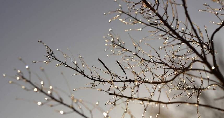 越冷越旺！4星座逆勢起飛　「事業、愛情」雙豐收