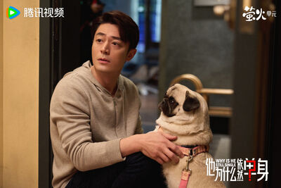 霍建華《他為什麼依然單身》字幕出包！「巴哥不是八哥」劇組道歉