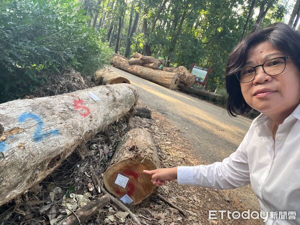 ▲▼  嘉義樹木園修復卡關王美惠爭取經費到位　陳駿季下令加速辦理 。（圖／王美惠服務處提供）