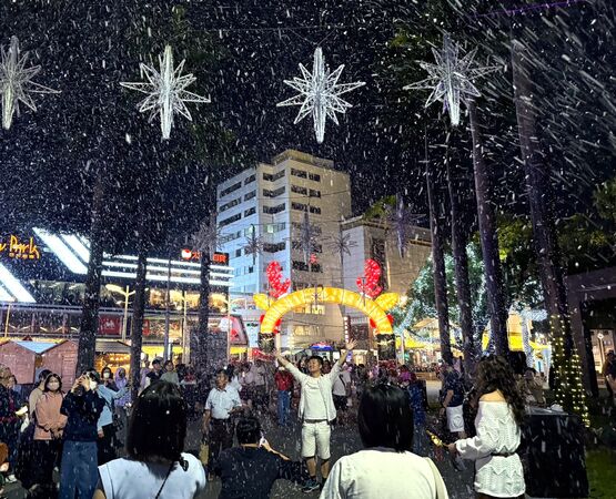 ▲▼屏東聖誕節。（圖／屏東縣政府提供）