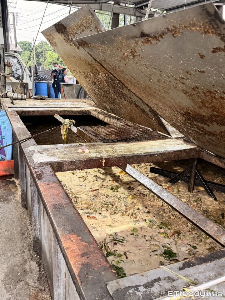 「廚餘養豬」後年起全禁! 落日轉型期1年