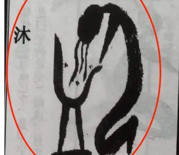 甲骨文像是「洗頭」爆紅　專家解答後...陸網友全猜錯