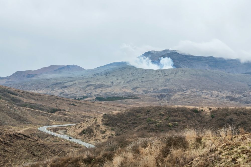 台虎熊本三大優惠 南部出發限定（圖／shutterstock）
