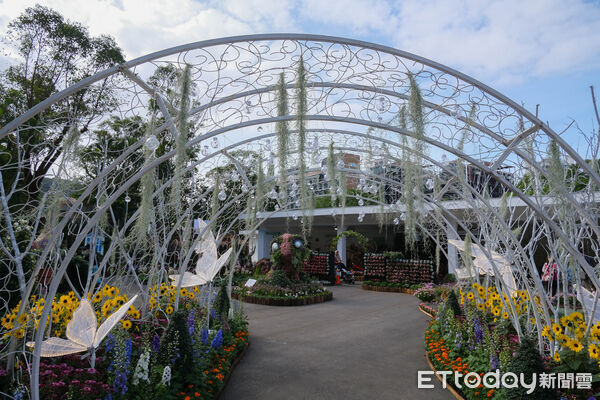 ▲2025士林官邸菊展~藝菊圓夢。（圖／記者彭懷玉攝）