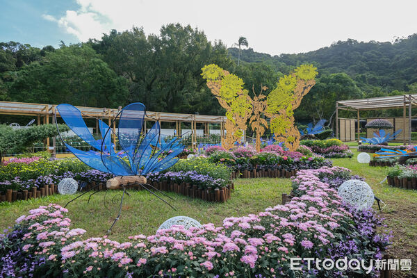 ▲2025士林官邸菊展~藝菊圓夢。（圖／記者彭懷玉攝）