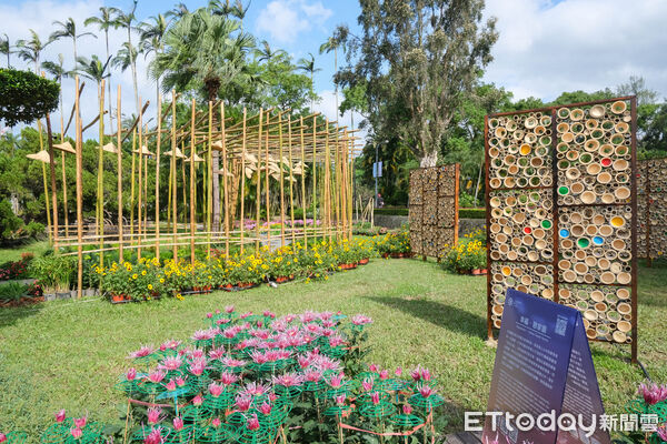 ▲2025士林官邸菊展~藝菊圓夢。（圖／記者彭懷玉攝）