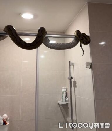 ▲。（圖／Thread@y.y940928s提供，請勿隨意翻拍，以免侵權。）