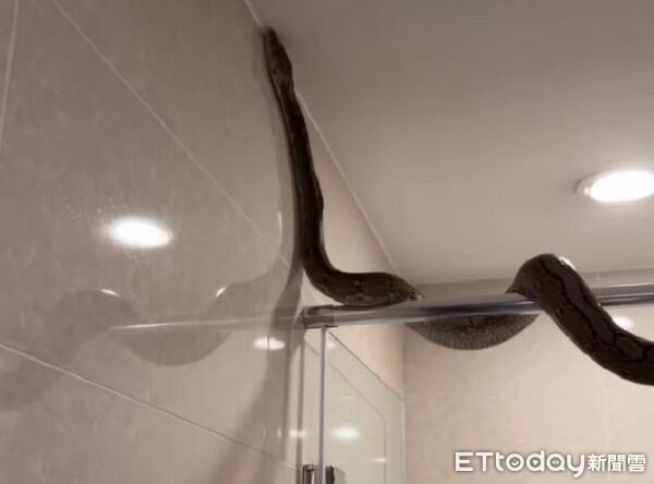 ▲。（圖／Thread@y.y940928s提供，請勿隨意翻拍，以免侵權。）