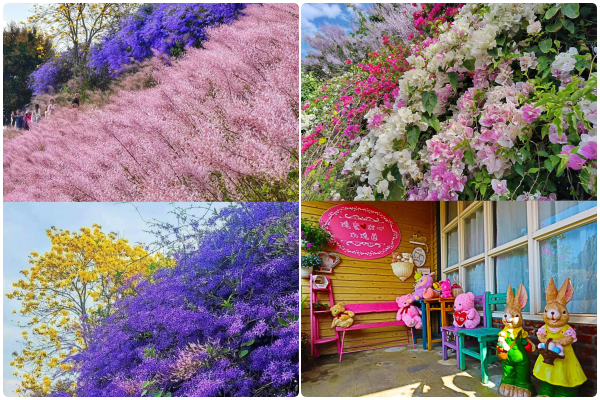 ▲南投瑰蜜甜心玫瑰園於粉專公布明年開園日。（圖／業者提供）