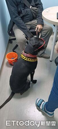 ▲。（圖／新北市政府動物保護防疫處提供）