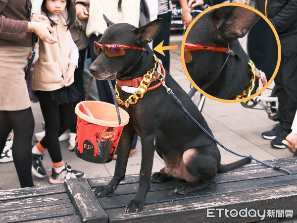 （圖／網友@junyu.24_提供，請勿隨意翻拍，以免侵權。）