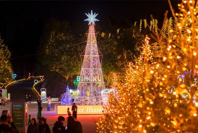 廣島冬季必看6大浪漫燈海！走進夢幻燭光花田　俯瞰日本夜景遺產