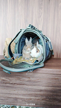 ▲▼幕後咖啡。（圖／部落客胖貓咪的奇幻旅程授權提供）