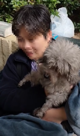 宏福苑狗狗Jason獲救。（圖／翻攝自粉專大埔 TAI PO）