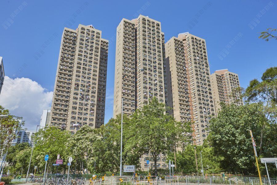 宏福苑「災前外觀」曝！昔為香港住宅典範　42年後惡火44死