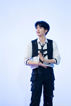 ▲▼楊冪暫緩官宣Prada代言。（圖／翻攝自微博）