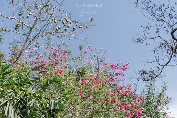 ▲▼大觀古隧道。（圖／部落客黑皮的旅遊筆記授權提供）