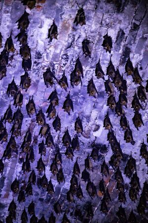 ▲▼大觀古隧道。（圖／部落客黑皮的旅遊筆記授權提供）