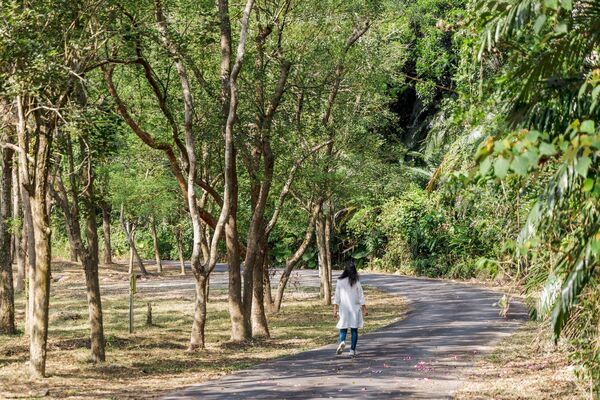 ▲▼大觀古隧道。（圖／部落客黑皮的旅遊筆記授權提供）
