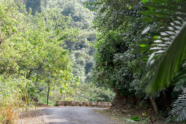 ▲▼大觀古隧道。（圖／部落客黑皮的旅遊筆記授權提供）