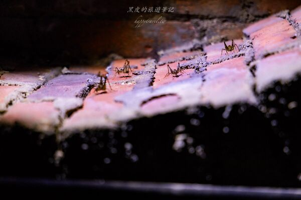 ▲▼大觀古隧道。（圖／部落客黑皮的旅遊筆記授權提供）