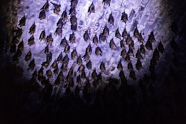 ▲▼大觀古隧道。（圖／部落客黑皮的旅遊筆記授權提供）