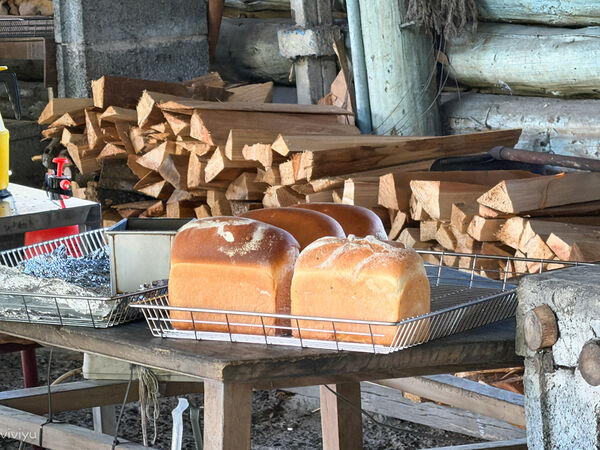 ▲▼楊梅美食「普勒小姐柴燒窯烤麵包」藏身山林每周只營業三天!沒預訂很難買到。（圖／部落客VIVIYU提供）