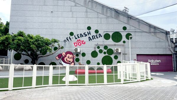 ▲樂天桃園「棒球場寵物樂園」開放毛孩免費玩時段。（圖／桃園市農業局提供）