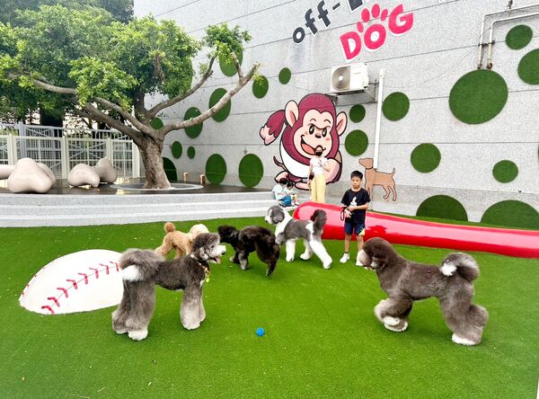 ▲樂天桃園「棒球場寵物樂園」開放毛孩免費玩時段。（圖／桃園市農業局提供）