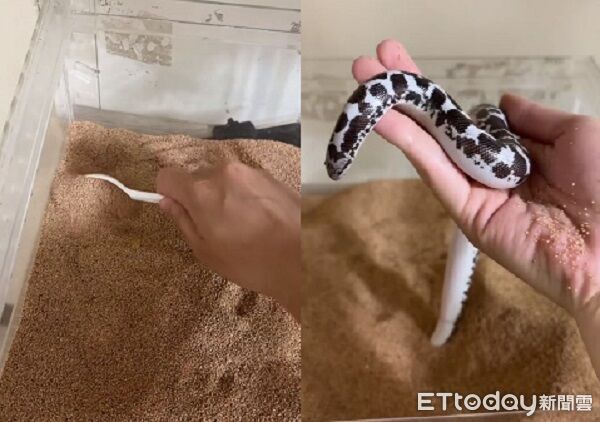 ▲。(圖/Threads@y.s_xxix提供,請勿隨意翻拍,以免侵權。)