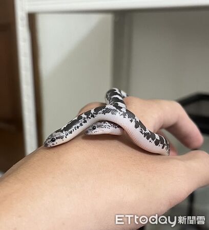 ▲。（圖／Threads@y.s_xxix提供，請勿隨意翻拍，以免侵權。）