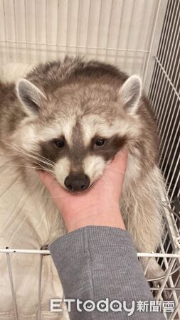 ▲。(圖/Threads@y.s_xxix提供,請勿隨意翻拍,以免侵權。)