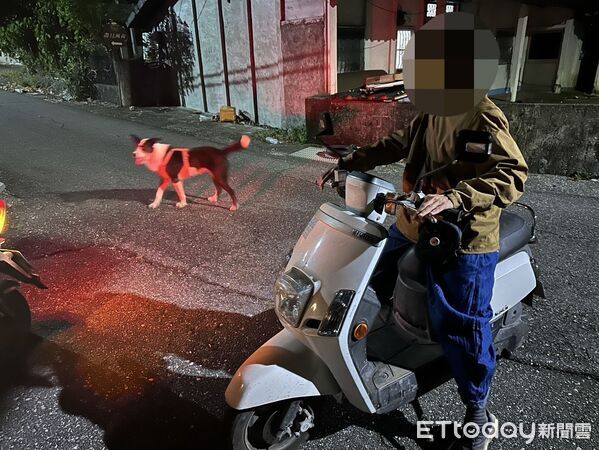 ▲寧埔所警員護漁巡簽遇走失牧羊犬。（圖／記者楊晨東翻攝）