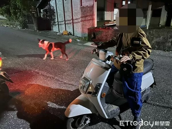 ▲寧埔所警員護漁巡簽遇走失牧羊犬。（圖／記者楊晨東翻攝）