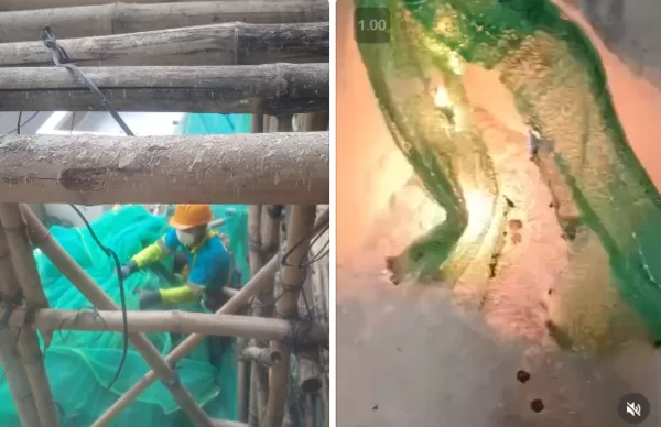 ▲▼             。（圖／翻攝自Threads）