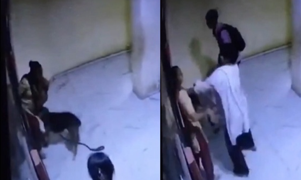 等電梯突然被咬！她怒「管好寵物犬」　反被狗主人賞巴掌。（圖／翻攝自X）