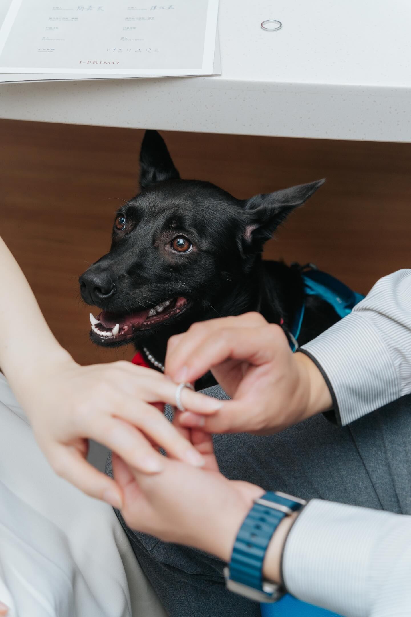 ▲▼「張君雅小妹妹」結婚了！　公開登記照：願我們的日常溫柔篤定。（圖／翻攝自簡嘉芸Threads）