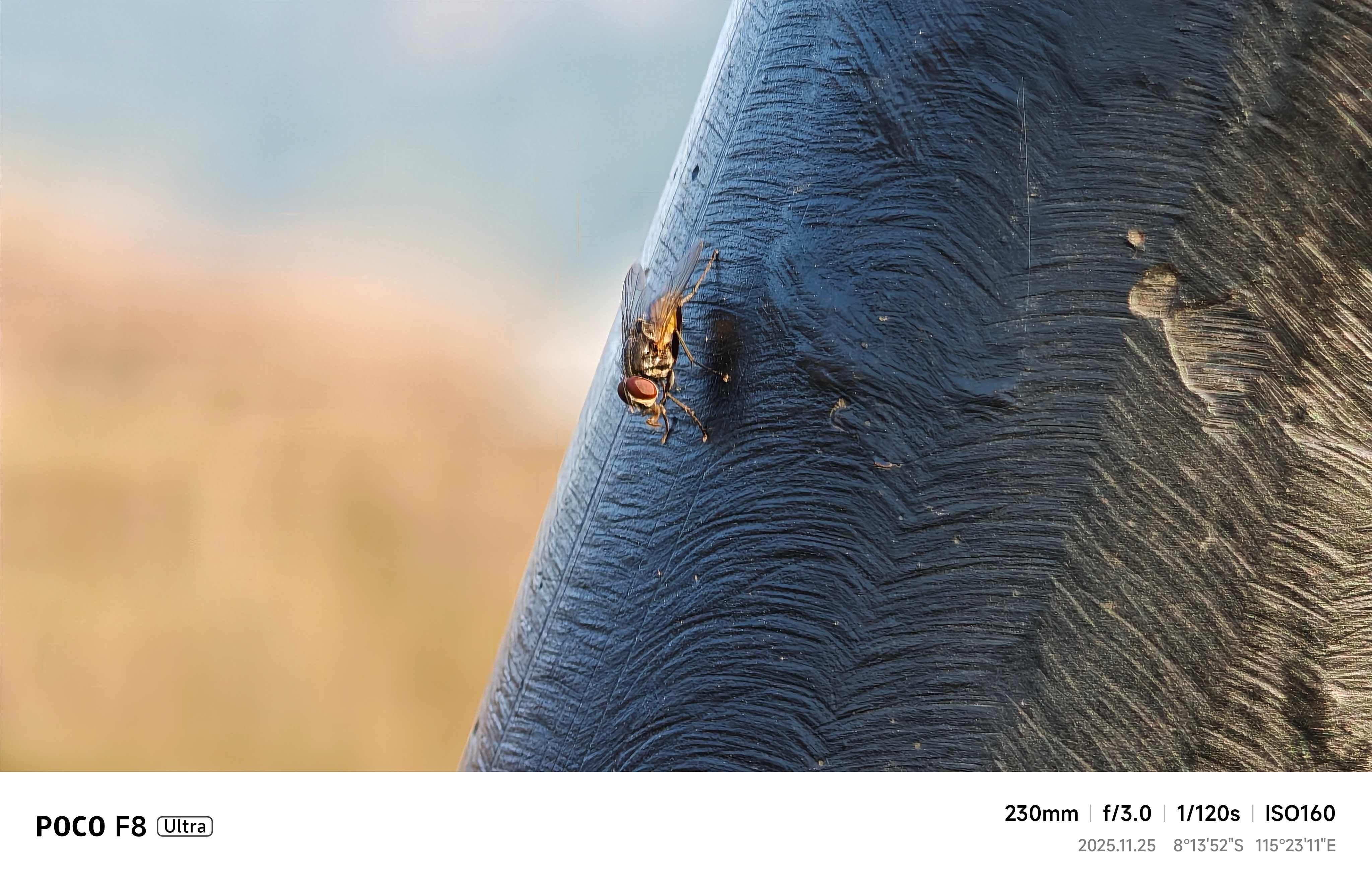 ▲▼       poco 實拍      。（圖／記者蘇晟彥攝）