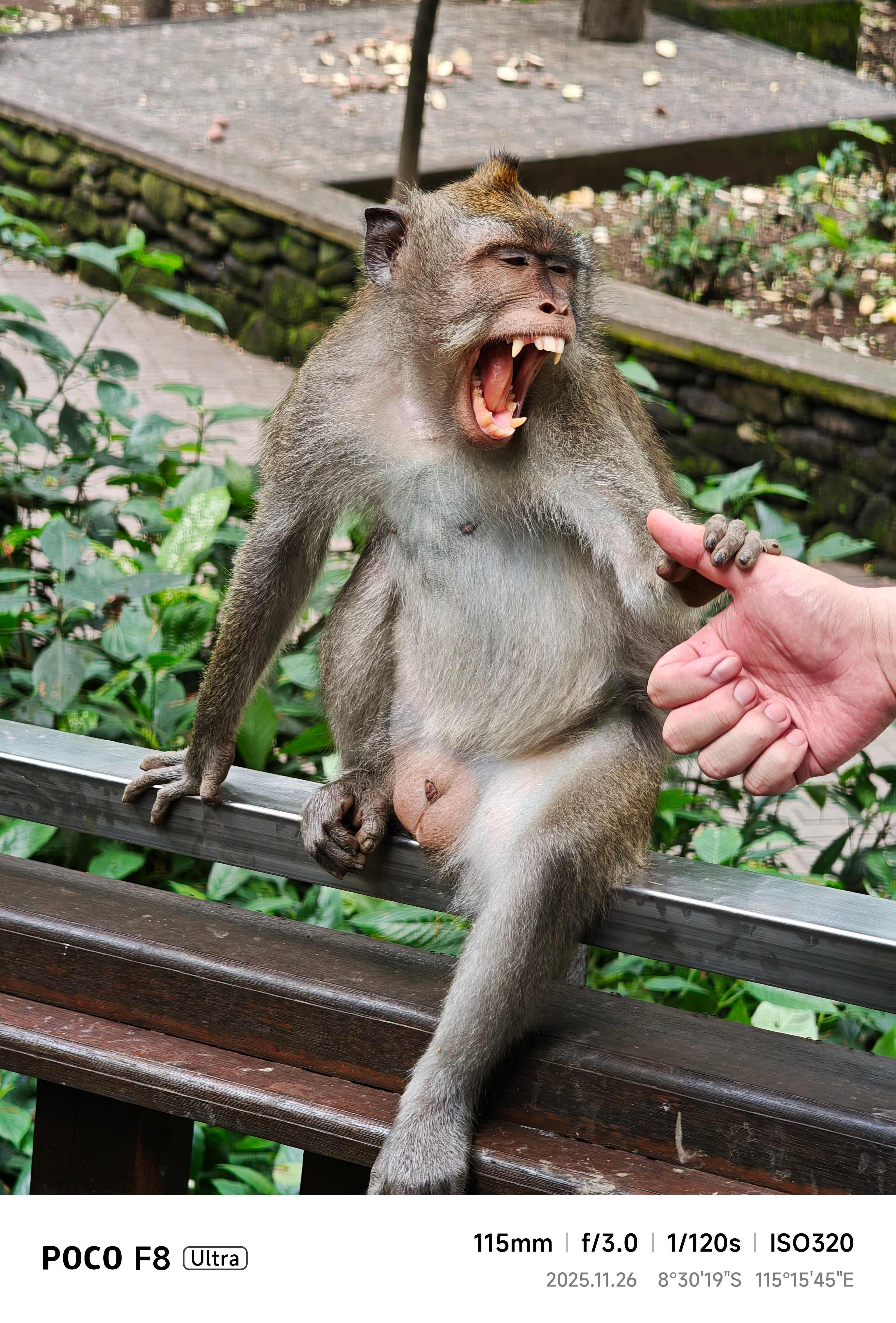 ▲▼             。（圖／記者蘇晟彥攝）