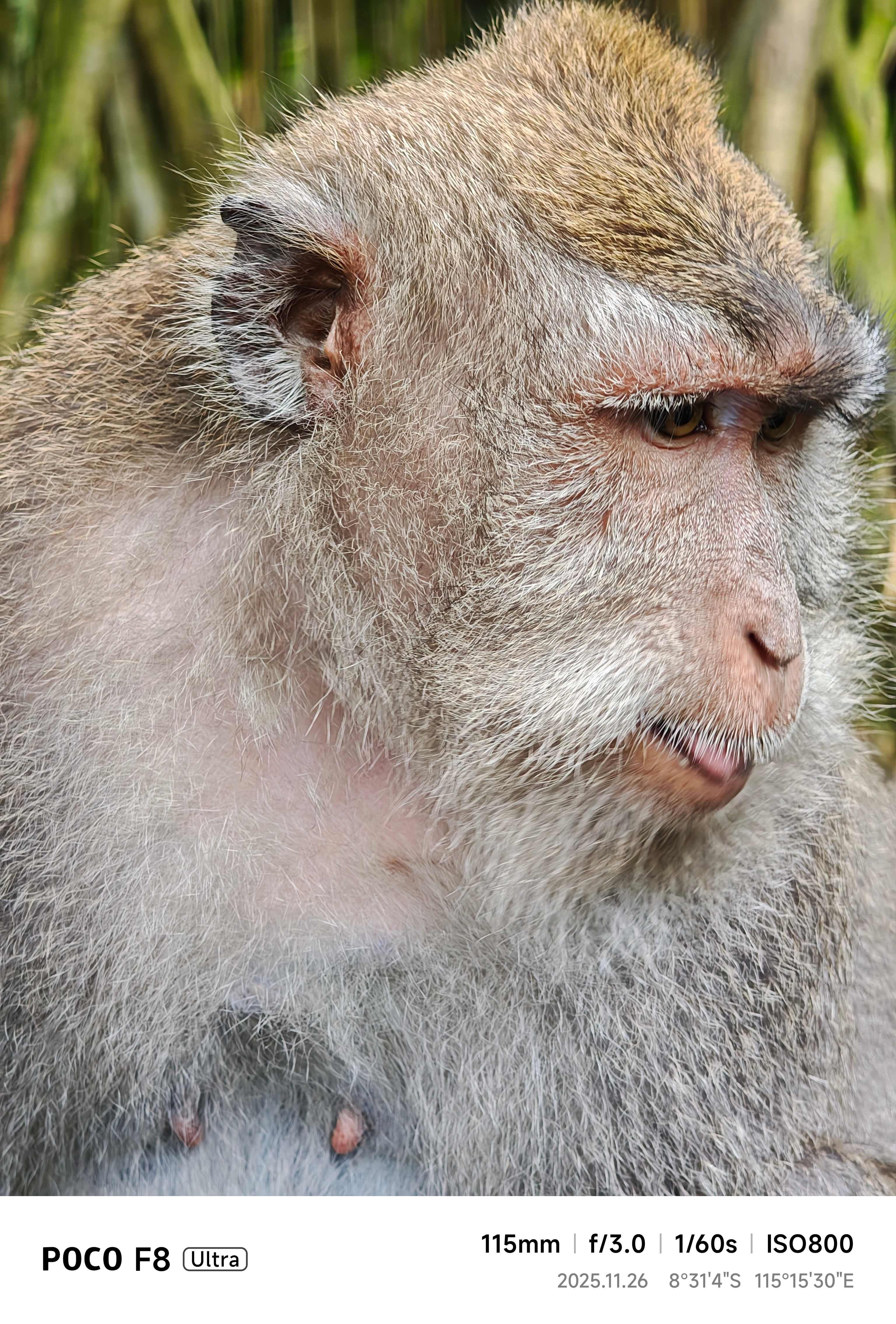 ▲▼             。（圖／記者蘇晟彥攝）