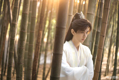 陸男星成毅拍戲「吊鋼絲重摔頭著地」! 畫面瘋傳劇組發聲了