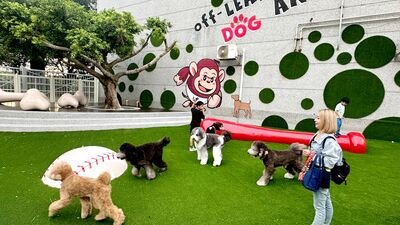 桃市府攜手樂天桃猿球場寵物樂園 HappyHour即起限時免費開放