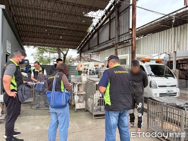 ▲台南動保處會同警方於七股破獲非法犬貓繁殖場，扣押近百隻犬貓。（記者林東良翻攝，下同）