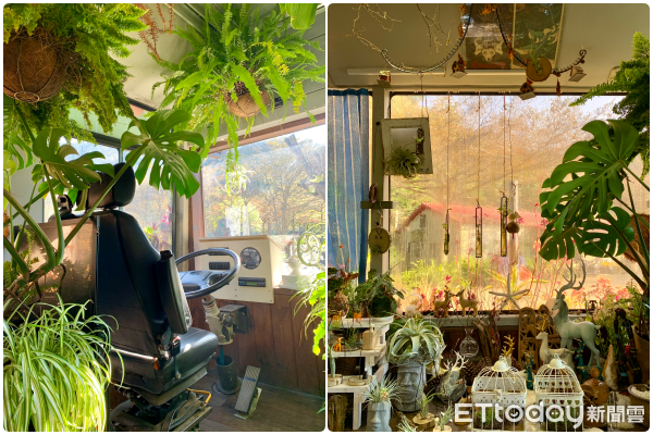 ▲鹿角咖啡。（圖／記者彭懷玉攝）